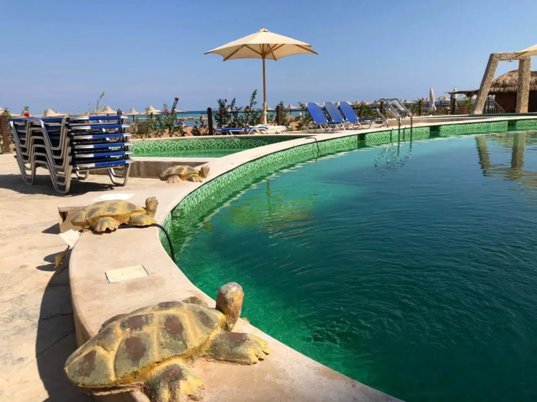 Sea View Studio at Turtles Beach Resort — Hurghada · Al Ahyaa, Egypt — photo 12