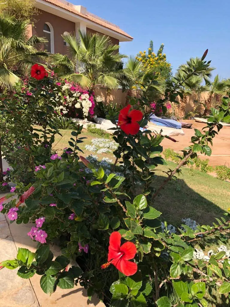 Sea View Studio at Turtles Beach Resort — Hurghada · Al Ahyaa, Egypt — photo 24